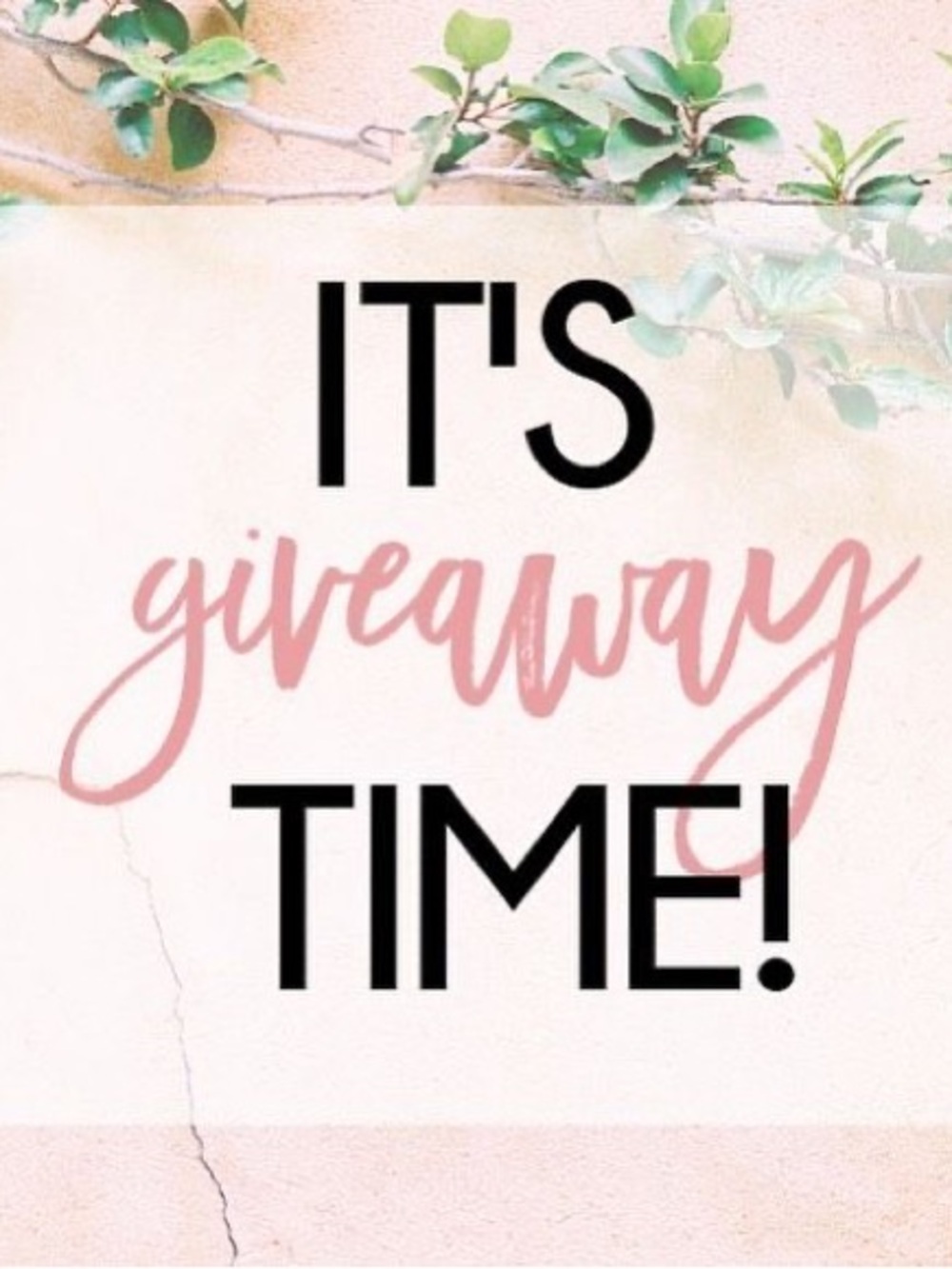 Free shipping and a free gift! 🛍️
